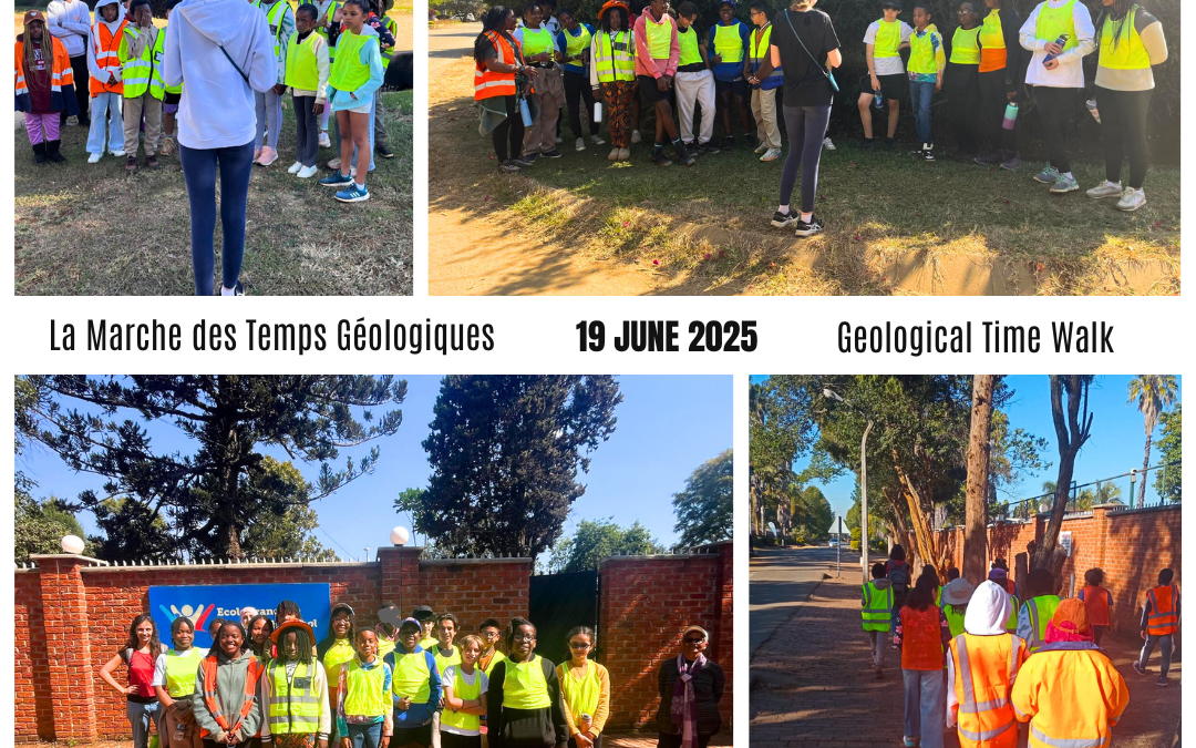 Journey Through Time: A Geological Walk