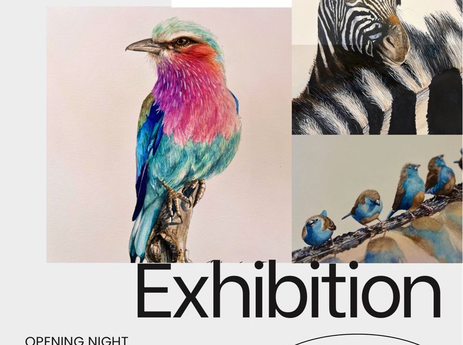 Kirsty Jean’s Vibrant Bird Exhibition Opens at the French School